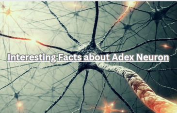 Interesting Facts about Adex Neuron